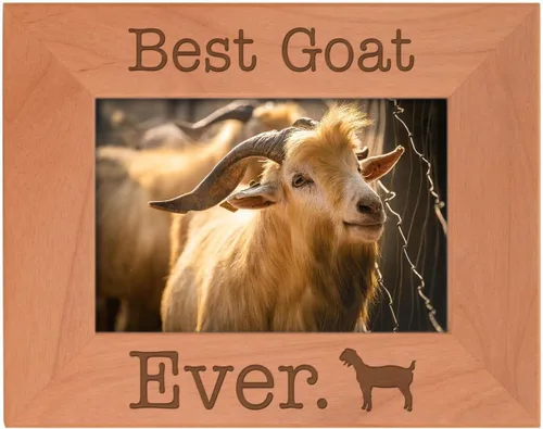 ThisWear Goat Lover Gifts Best Goat Ever - Marco de fotos de madera natural grabado de 4 x 6 pulgadas