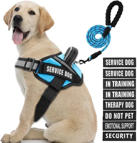 Miniatura 25 de Juego de arnés y correa para perro de servicio, arnés de entrenamiento para perro Animire con 10 parches para perros, correa reflectante para perro