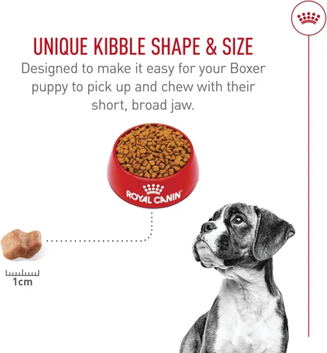Miniatura 5 de Royal Canin Breed Health Nutrition Boxer - Alimento seco para perros, bolsa de 30 libras