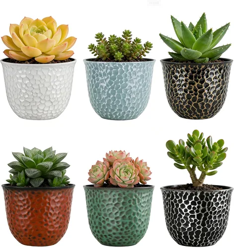 Worth Juego de 6 macetas redondas de plástico para jardín de 8 pulgadas para plantas de interior, macetas de resina para exteriores, coloridas con