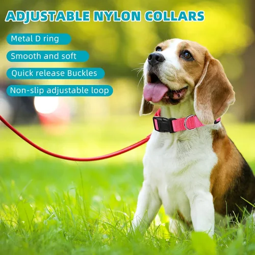 Miniatura 4 de 9 piezas de collar ajustable para perro, collar de nailon suave para mascotas con hebilla de liberación rápida a granel para perros, caminar