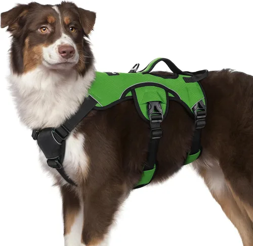Miniatura 29 de rabbitgoo - Arnés para perro a prueba de fugas, arnés para mascotas acolchado suave de cuerpo completo, chaleco reflectante ajustable sin tirones
