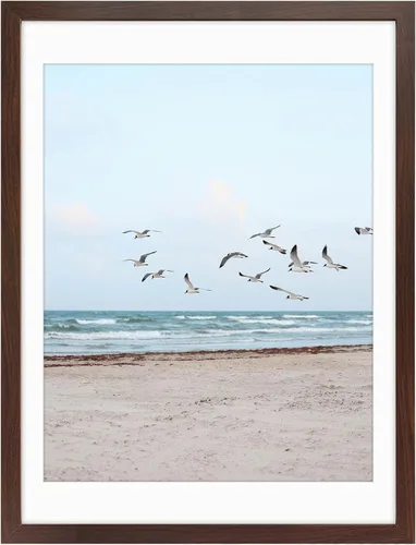 Miniatura 19 de Frametory, Marcos de 8 x 10 para mostrar imágenes de 5 x 7 con paspartú o fotos de 8 x 10 sin paspartú, vidrio resistente a roturas, accesorios