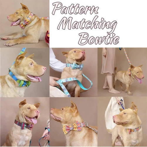 Miniatura 6 de Collar de perro personalizado con placa de nombre, ajustable resistente nailon personalizable collar de identificación grabado con hebilla de metal