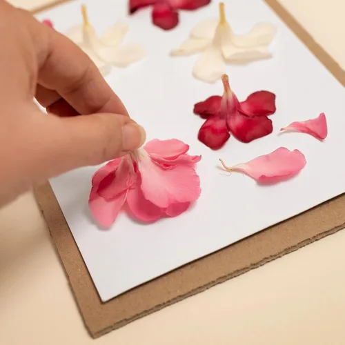 Miniatura 5 de PATIKIL Papel de prensa de flores de 12 x 8 pulgadas, repuesto de 30 hojas, blanco, sin recubrimiento, 11.8 x 7.9 pulgadas (largo x ancho), artes