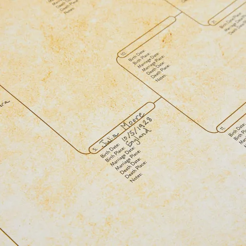 Miniatura 7 de Okuna Outpost Gráficos de árbol genealógico para rellenar – 8 gráficos de genealogía de generación con 255 espacios de nombres – Póster de árbol