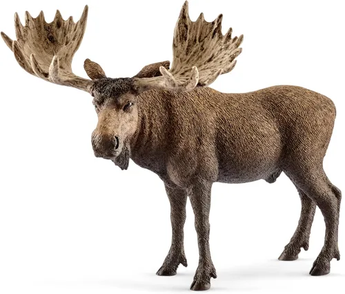 Schleich Wild Life - Figura de alce de toro – Figura de juguete de animales salvajes, duradera para educación y juego imaginativo para niños y