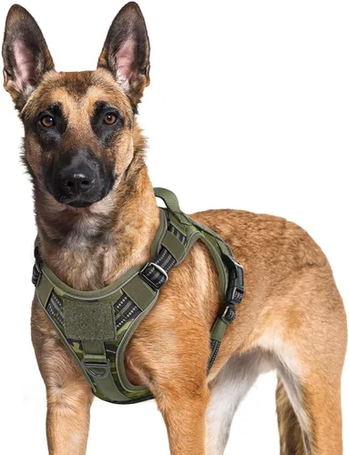 Miniatura 16 de rabbitgoo - Arnés para perros pequeño sin tirones, chaleco táctico de servicio con Molle y asa de control, arnés militar ajustable y reflectante
