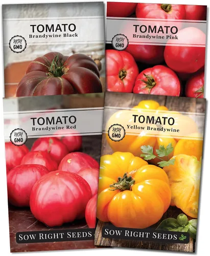 Sow Right Seeds - Colección de semillas de tomate Brandywine para plantar - Incluye variedades rojas, amarillas, negras y rosadas - Tomates