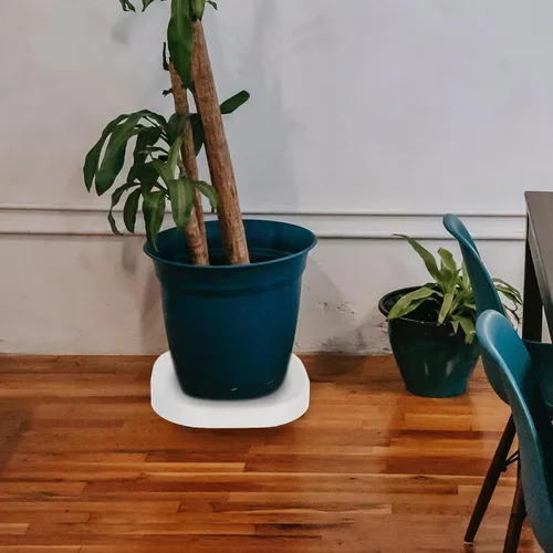 Miniatura 5 de Plato rodante para maceta con ruedas, soporte de ruedas resistente para plantas en maceta, bandeja de base redonda con ruedas, soporte para macetas