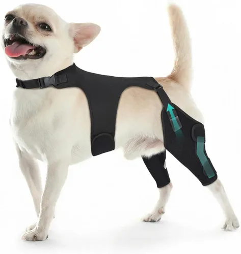Miniatura 7 de Rodilleras ajustables para patas de perro para pierna trasera, con 4 estabilizadores, ACL para reducir el dolor, lesiones de ligamentos y rótula