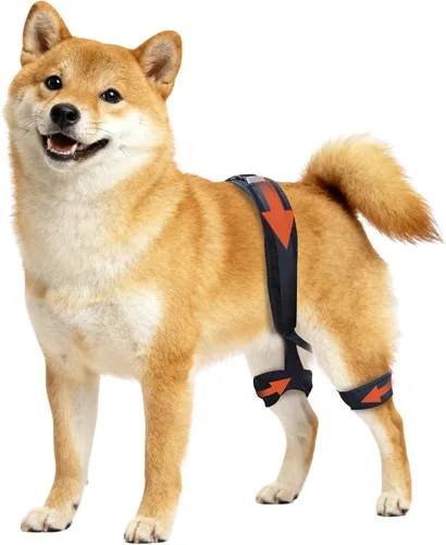 Miniatura 9 de Soporte de cadera para perro para displasia de cadera, soporte ajustable de cadera para perro con compresión específica, estabiliza