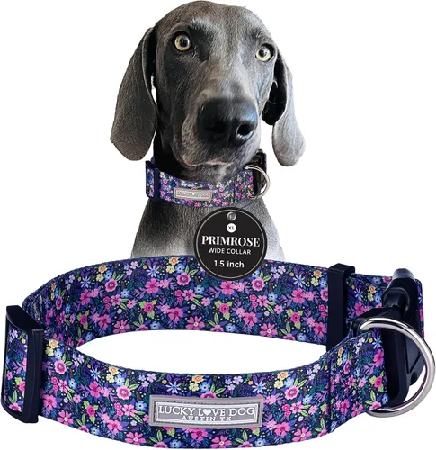 Miniatura 25 de Lucky Love Dog Collar Ancho para Perros - Collar Ajustable, Duradero, Tejido Suave y Cómodo de 1.5 Pulgadas de Ancho para Perros Machos y Hembras