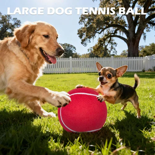 Miniatura 9 de EXPAWLORER Pelotas de tenis gigantes para perros – 2 pelotas interactivas de 9.5 pulgadas para entrenamiento en interiores y exteriores, juguetes