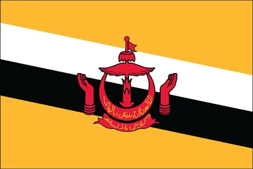 Miniatura 50 de Bandera de poliéster de Venezuela de 3 x 5 para interiores o exteriores, más de 200 banderas internacionales de 3 x 5 pies (35.4 x 59.1 in)