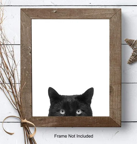 Miniatura 7 de Foto artística de pared de gato negro, impresión única de 8 x 10 pulgadas, moderna, contemporánea, 8 x 10 pulgadas, regalo para animales, mascotas