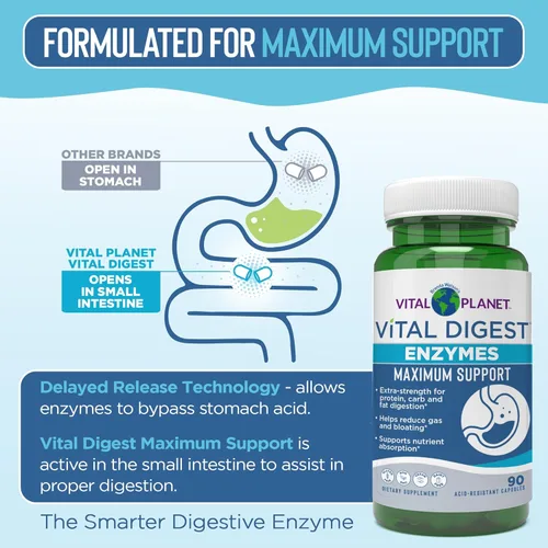 Miniatura 4 de Vital Planet Vital Digest Natural Digestive Enzymes Apoya la Descomposición de Proteínas, Grasas y Carbohidratos y Reduce los gases ocasionales