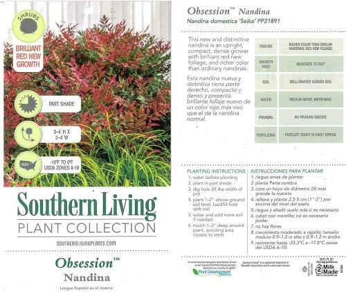 Miniatura 6 de Blooming & Beautiful - Obsession Nandina - 3 gal - Southern Living - Arbusto de hoja perenne - Follaje de color rojo - Cultivo compacto - Zonas 6-10
