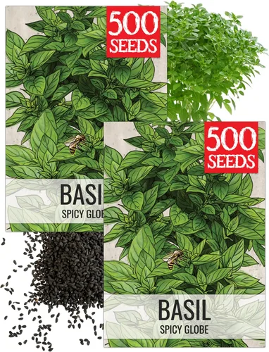 Miniatura 34 de Seed Needs Semillas de albahaca para plantar hierbas de albahaca tailandesa, sin OMG y semillas de hierbas sin tratar para cultivar un jardín