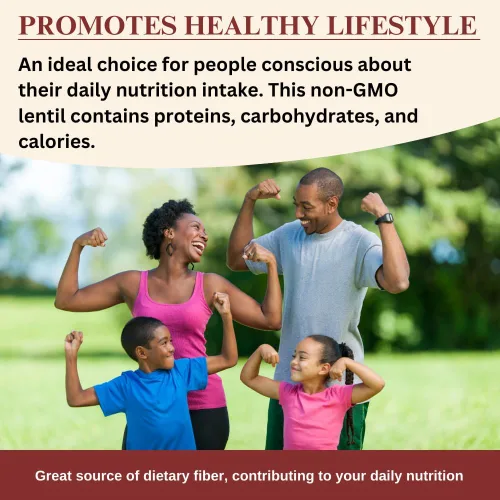 Miniatura 8 de Darsa Organics Lentejas de garbanzos negros, Kala Chana Dal, 2 libras de granos de garbanzos marrones orgánicos USDA, sin OMG, ideales para dietas