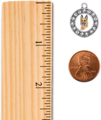 Miniatura 2 de Inspired Silver - Pendientes colgantes de gancho francés con dije de círculo de plata con joyas de circonita cúbica