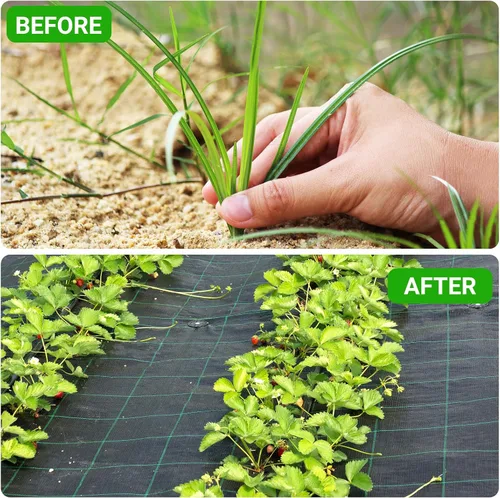 Miniatura 3 de UNIFAMILY 2 piezas de tela de paisaje resistente, total de 3 x 60 pies, tela de barrera tejida con agujeros de plantación, tela de cubierta de suelo