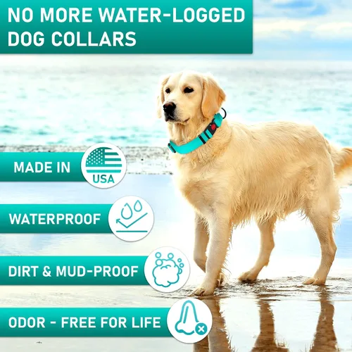 Miniatura 2 de Collar de perro ajustable con código QR identificación adjunta, fabricado en Estados Unidos, collar de perro resistente al agua con hebilla