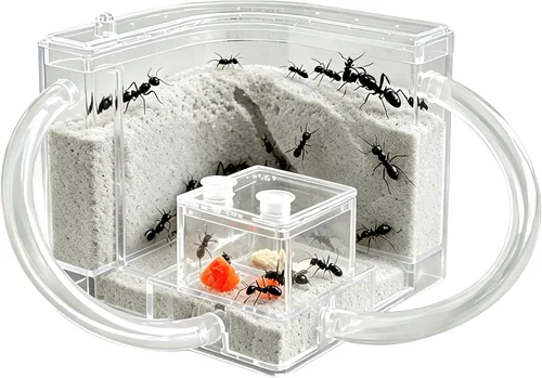EXBEPE Granja de Hormigas en Arena con Tubos Conectores, Hábitat Vivo de Hormigas, Kit de Ecosistema de Colonia en Terrario para Niños para Estudiar