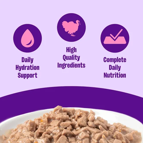 Miniatura 2 de Wellness Complete Health Gravy - Alimento húmedo para gatos adultos, natural, rico en proteínas, sin granos, 3 onzas, paquete de 12