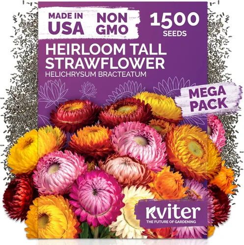 Miniatura 42 de KVITER 1600 semillas de pensamiento de los gigantes suizos para plantar (Viola wittrockiana) - Paquetes de semillas de colores mixtos Flores