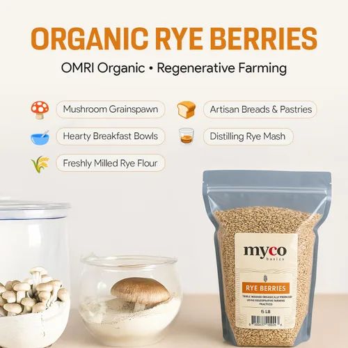 Miniatura 2 de Bayas de Centeno para Cultivo de Hongos - Grano de Centeno Orgánico, Triple Lavado para hacer Cultivo de Hongos en Grano por Mycology Basics - 5