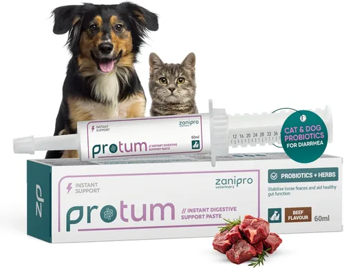 Miniatura 11 de Protum - Pasta probiótica para perros, fórmula prebiótica avanzada de 1.0 fl oz para apoyo digestivo, sabroso sabor a maní para la salud intestinal