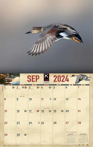 Miniatura 4 de The KING Company - Calendario de pared de aves acuáticas 2024, tamaño XL, 14 x 22 pulgadas, calendario de gansos de pato por The KING