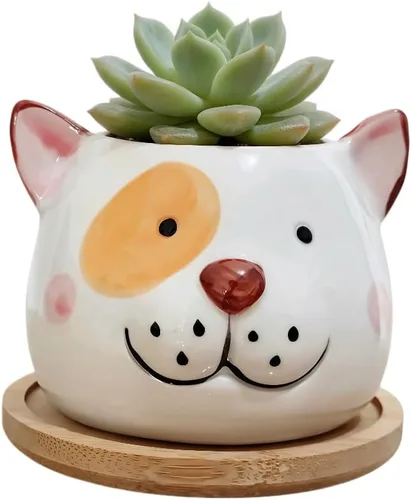 Miniatura 13 de Cuteforyou Macetas para suculentas, bonita maceta de cerámica con forma de vaca de dibujos animados para suculentas/cactus/flores, soportes