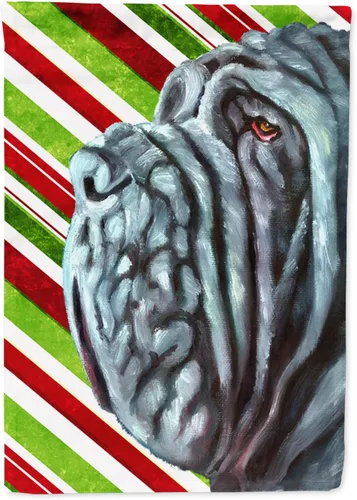 Miniatura 312 de Caroline's Treasures SC9334GF - Bandera decorativa para jardín, diseño de bastón de caramelo inglés, diseño de bulldog inglés, tamaño jardín