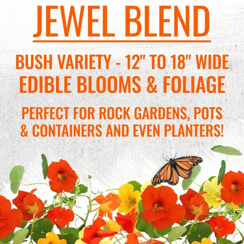 Miniatura 8 de Seed Needs - Semillas de Capuchina para Plantar Flores Comestibles - Juego de Colección de Mezcla Joya y Capuchinas de Doble Brillo para Atraer