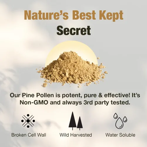 Miniatura 3 de Samsara Herbs Polvo de polen de pino cosechado silvestre - 99% de pared celular agrietada (4 oz/114 g) que apoya la energía saludable y la longevidad