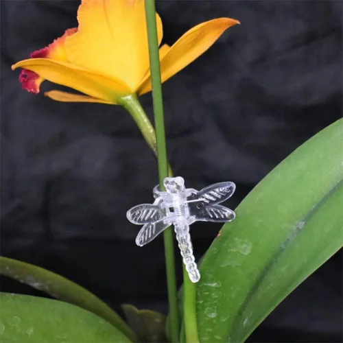 Miniatura 5 de Watris Veiyi 100 piezas de soporte para orquídeas de plantas, clips de orquídea libélula de jardín, clips portátiles de vid de flores lindos