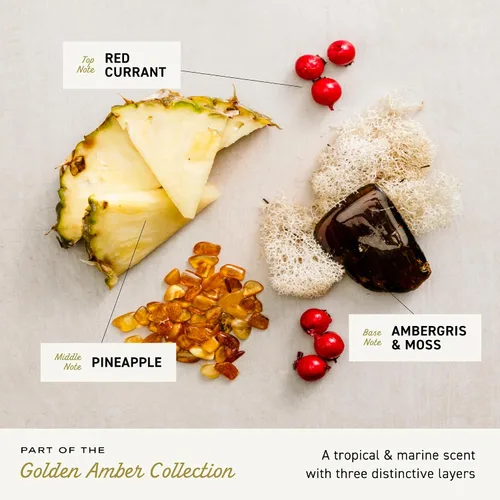 Miniatura 6 de Cremo Colonia para hombres - Espray de colonia Golden Amber para hombre, una combinación de grosella roja, piña, ámbar gris y musgo, fragancias