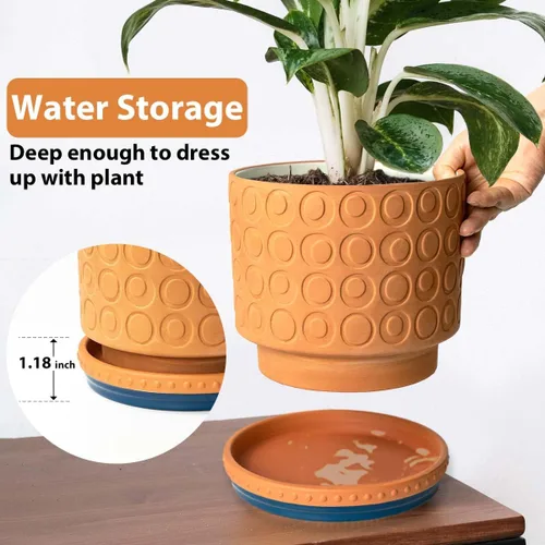 Miniatura 6 de YBX Platillo para Plantas de 8 Pulgadas Premium Platillo de Terracota Redondo Bandejas Cerámicas para Plantas, Paquete de 2 (Azul Marino/Terracota)