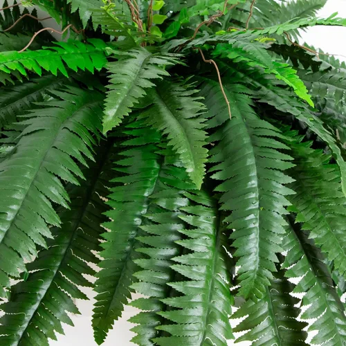 Miniatura 2 de Nearly Natural Planta artificial de helecho Boston de 48 pulgadas, planta falsa colgante grande con 67 fronds realistas largos, helecho sintético