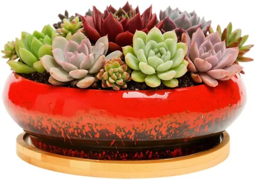 Miniatura 33 de Bonita maceta circular de cerámica para decoración del hogar y jardín, suculentas, cactus, maceta no incluida (azul, 3.19 pulgadas)