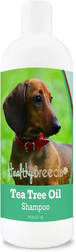 Miniatura 179 de Healthy Breeds Doberman Pinscher Champú de aceite de árbol de té, formulado para piel seca e irritada, reduce la caspa, aroma a gaulteria, 8 onzas