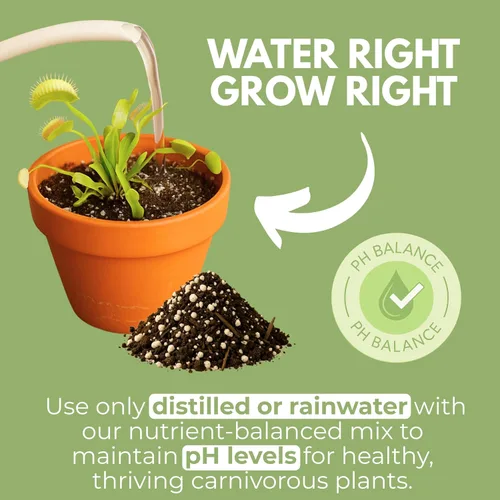 Miniatura 4 de Organic Earth Mezcla de suelo para plantas carnívoras de 1 cuarto de galón – Alimento vegetal Turba Musgo y Perlita para plantas carnívoras – Suelo
