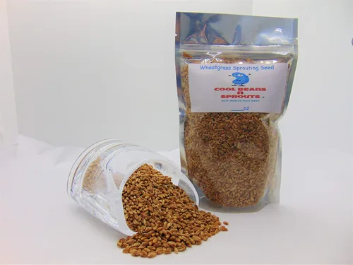 Semillas de pasto de trigo para brotar microverdes, 8 onzas, una rica fuente de vitaminas y minerales y nutrientes que promueven la salud. Marca