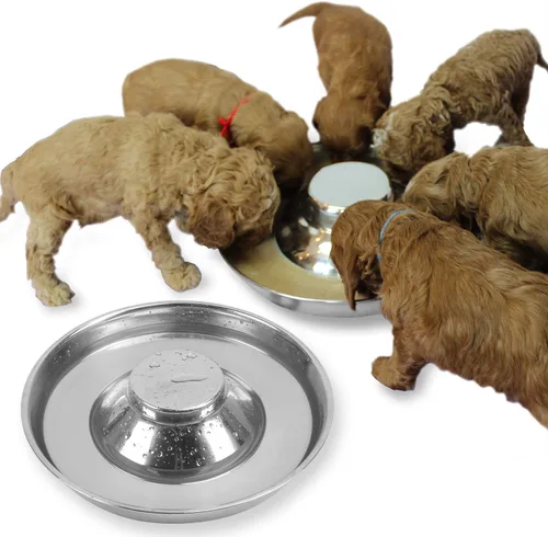 Miniatura 8 de Cuencos de acero inoxidable para cachorros, cachorros que alimentan alimentos y agua, comedero para platos, 10.3 pulgadas 1 - Paquete
