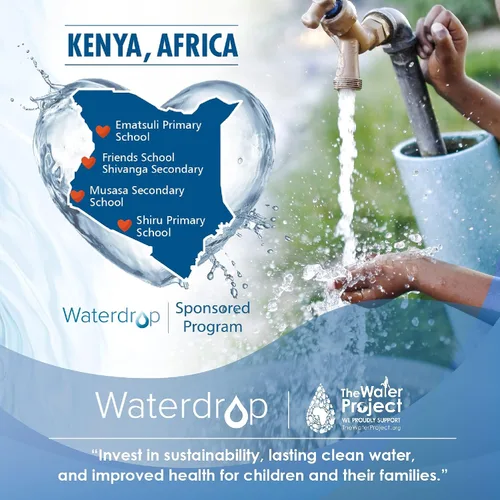 Miniatura 7 de Waterdrop Filtro de agua para café C03, repuesto para filtro Jura® Clearyl/Claris Blue Capresso® Clearyl para máquina de café Clearyl, 71445, 24229