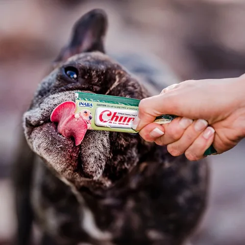 Miniatura 7 de INABA Churu - Decoración de comida para perros, completa y equilibrada, cremosa, para lamer puré para perros, tubo de 0.5 onzas, 20 tubos