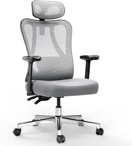 Hbada P3 Silla de oficina ergonómica con soporte lumbar ajustable 2D, silla de oficina con reposacabezas y reposabrazos ajustables, función de Gris