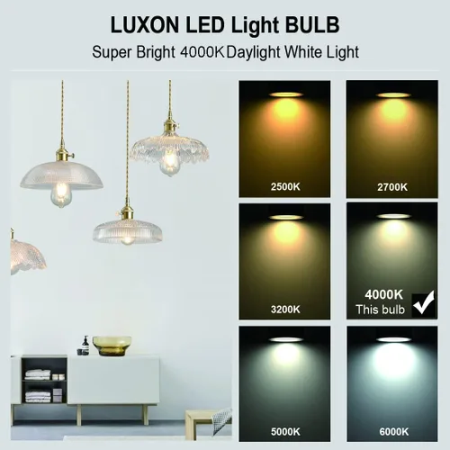Miniatura 4 de LUXON Bombillas LED Edison, 4 vatios (equivalente a 40 W), regulables, luz diurna de 4000 K (vidrio ámbar) con CRI 90+, bombillas Edison